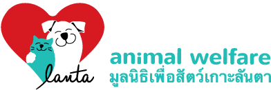 Lanta animal welfare